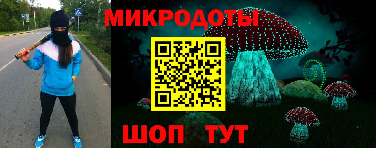 Псилоцибиновые грибы Psilocybe Ревда