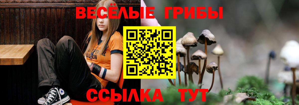 Ревда  Галлюциногенные грибы GOLDEN TEACHER  Вход с VPN 